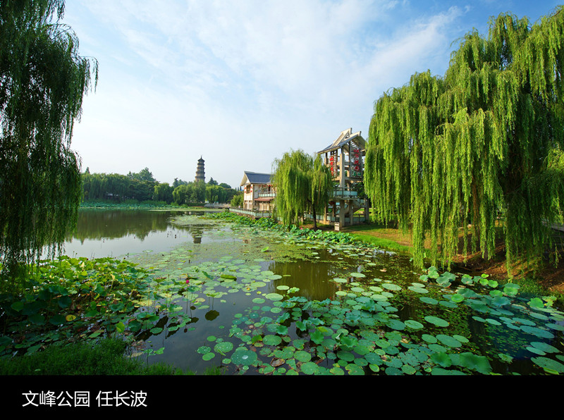 生机勃勃的文峰公园