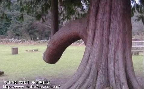 酷似男根女阴中国最让人脸红的十大流氓奇景